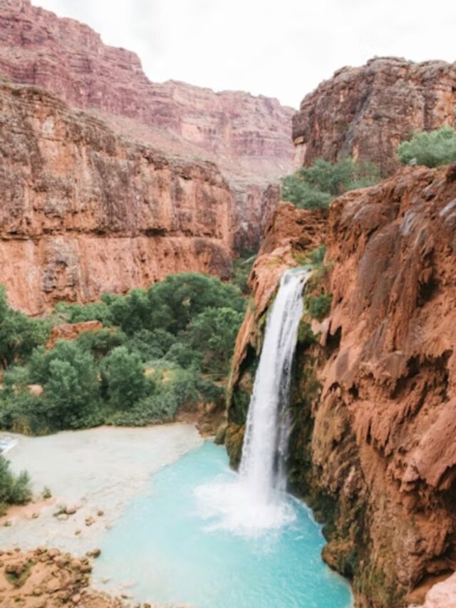 World’s Most Beautiful Oases You Need To See
