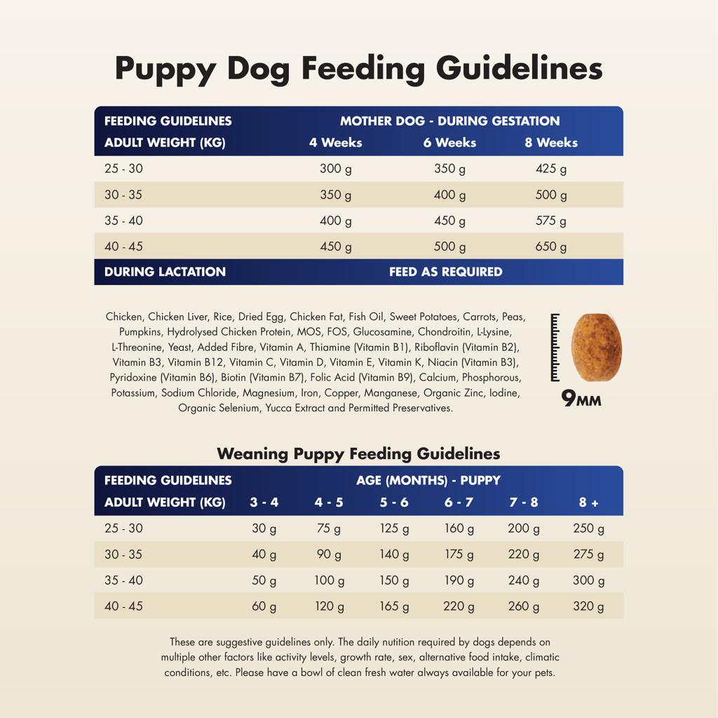 puppy Dog feeding guidelines