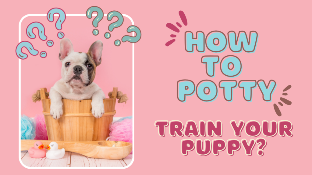 Cute Puppy Trainer 1