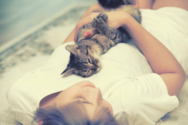 Why Cats Sleep on Humans