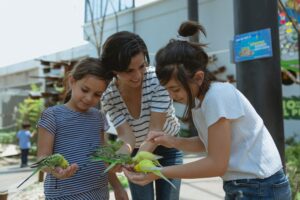 Best Pet Birds for Kids