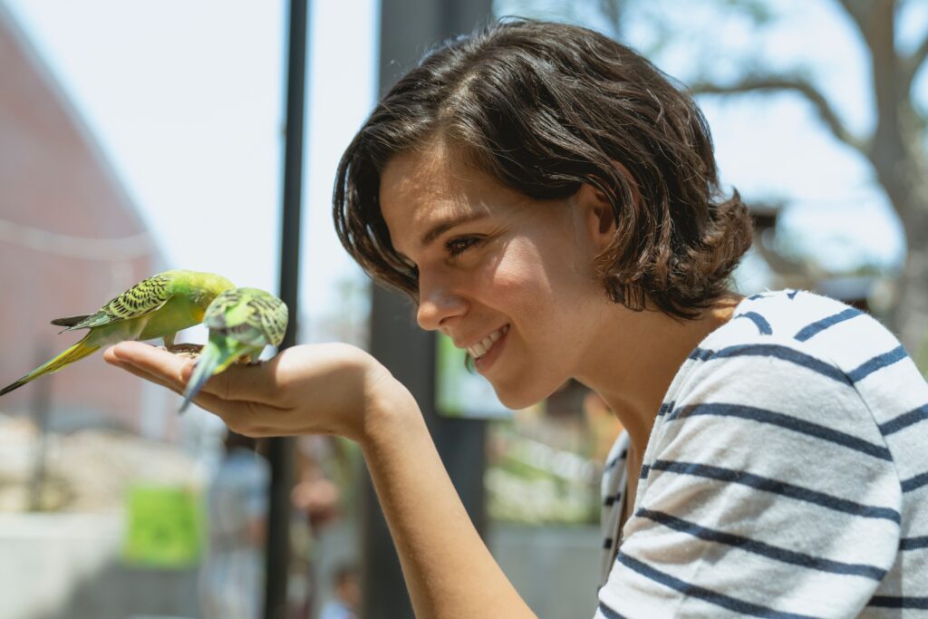 what to do if you find a baby bird