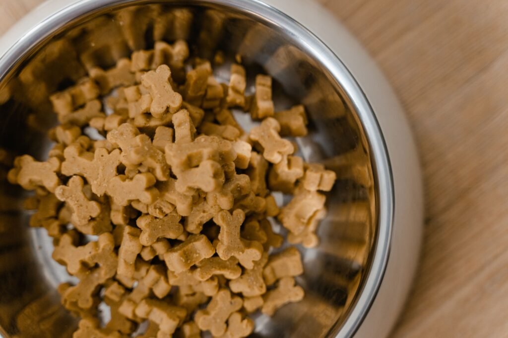 dog food for puppies